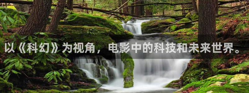 秋霞网免费