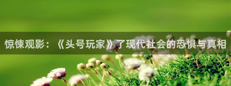 神马秋霞午夜影院