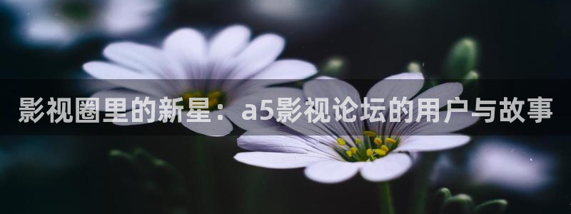 秋霞影院在线视频播放