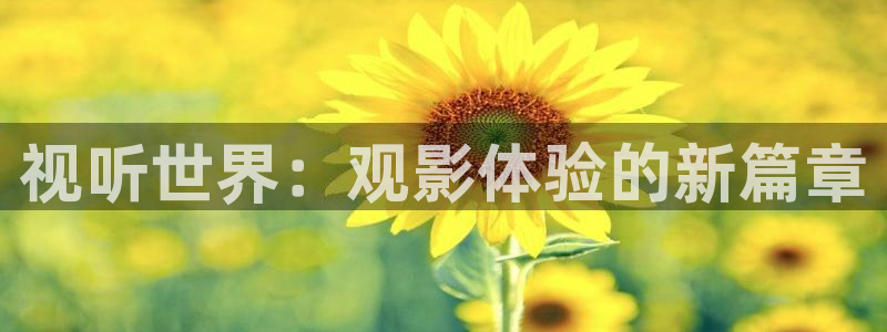 秋霞网网址