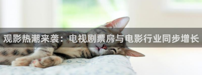 秋霞电影网站国产在线观看