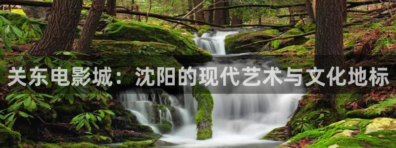 秋霞网一级理论