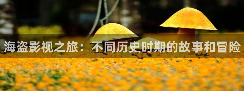 秋霞午夜伦理在线观看