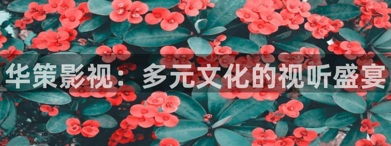 秋霞影院电影激情
