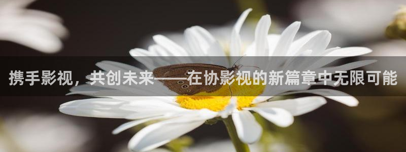 秋霞电影网手机在线观看视频