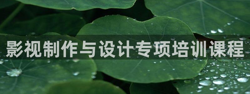 在线观看秋霞电影