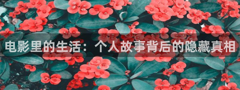 秋霞韩国理伦电影