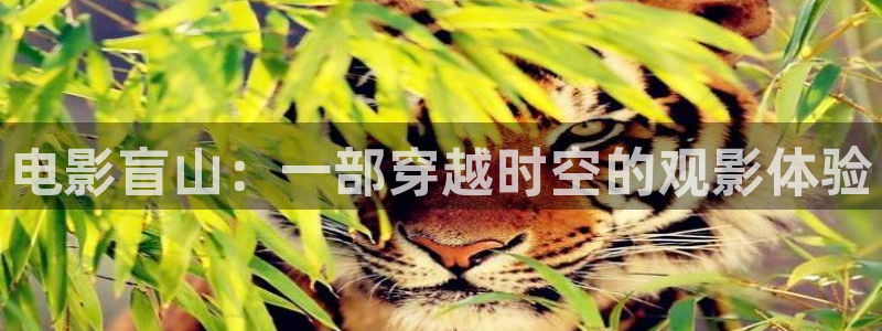秋霞网在线伦理