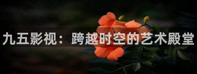 秋霞电影新网址