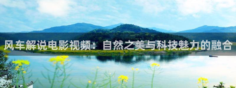 秋霞电影网2
