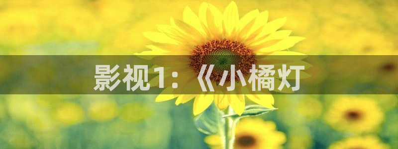 秋霞 网