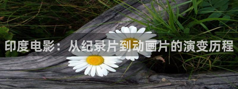 2018秋霞理论电影