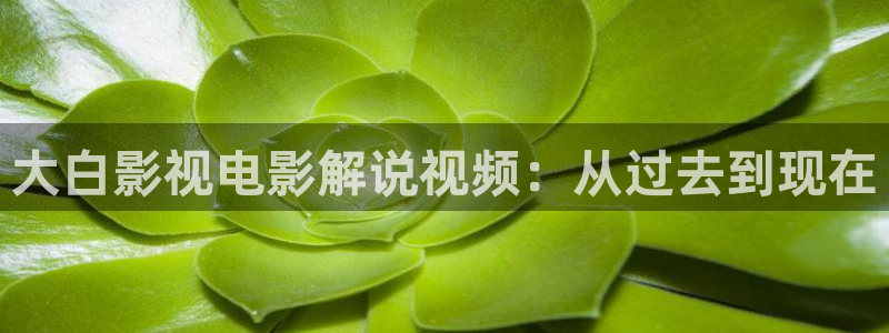 秋霞电影网络