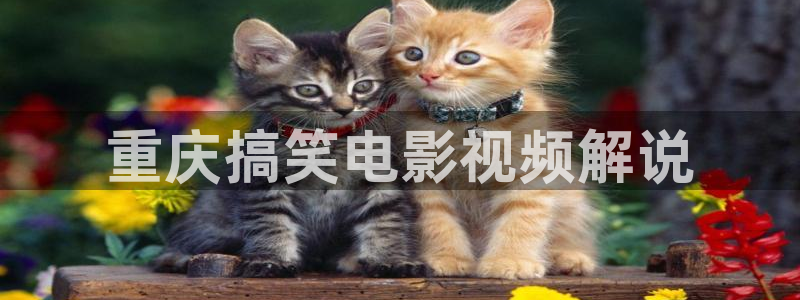 www.qiuxia.com秋霞