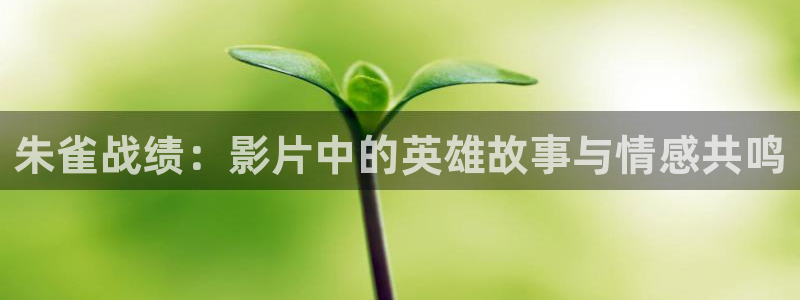 秋霞电在线观看