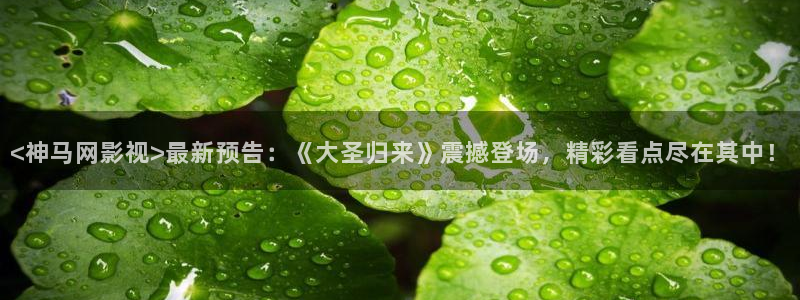 神马影院未来影院秋霞影院