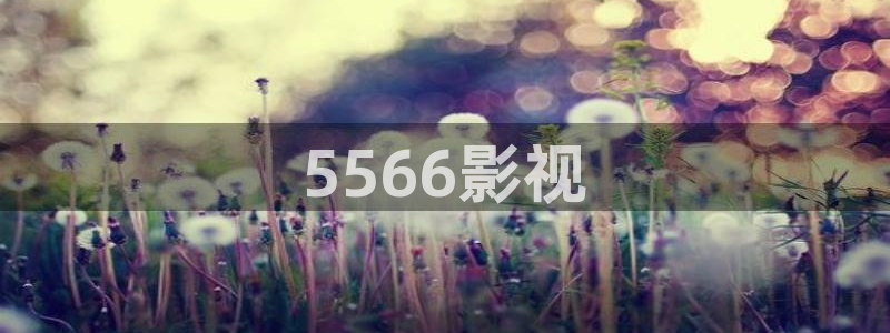 秋霞电影网午夜