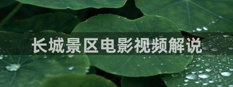新秋霞网址