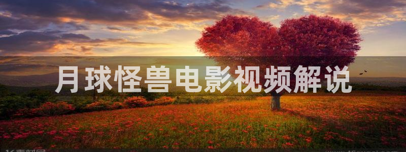 杨思敏秋霞电影