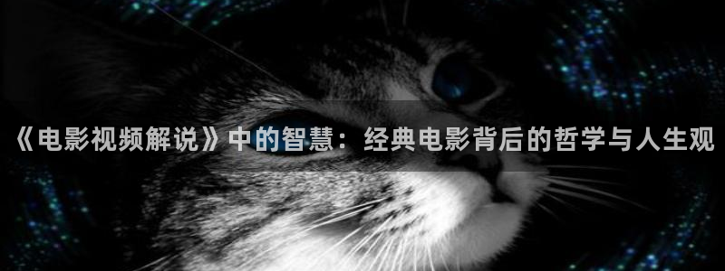 秋霞在线观看国产片