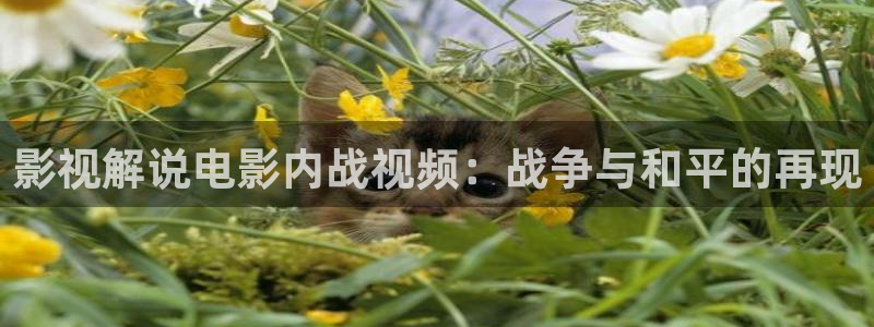 秋霞网看电影