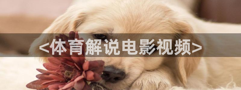 秋霞网一级理论