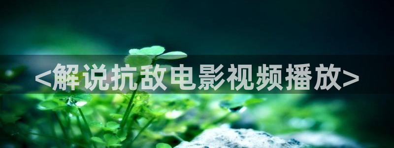 秋霞网快播
