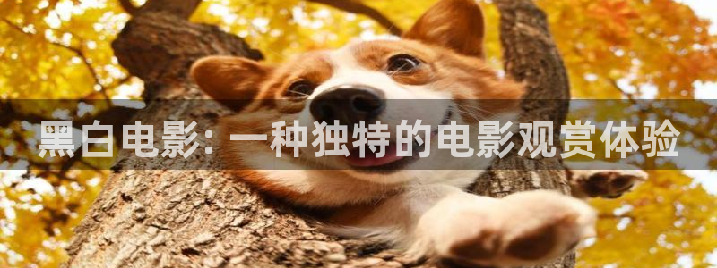秋霞伦理电视剧