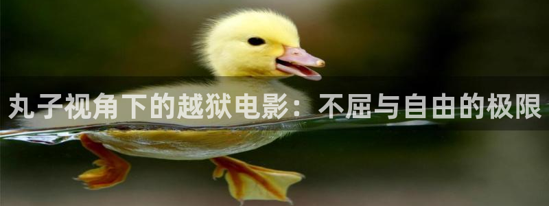 秋霞电影网yy