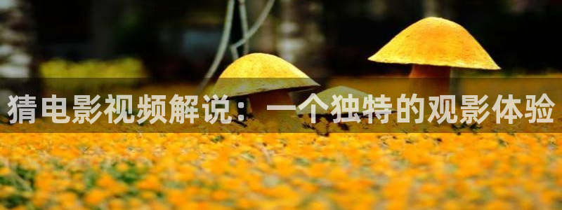 秋霞网韩国