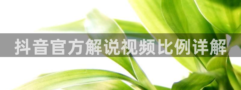 神马电影哒哒兔秋霞电影