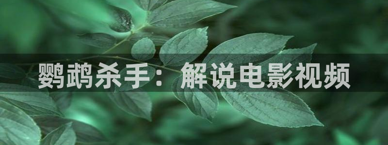 宅宅网秋霞影院
