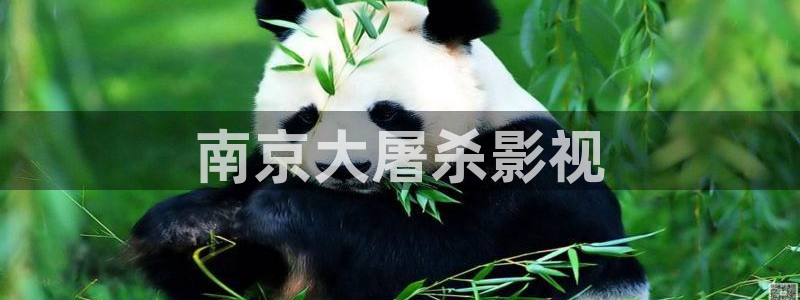 一家神马电影秋霞