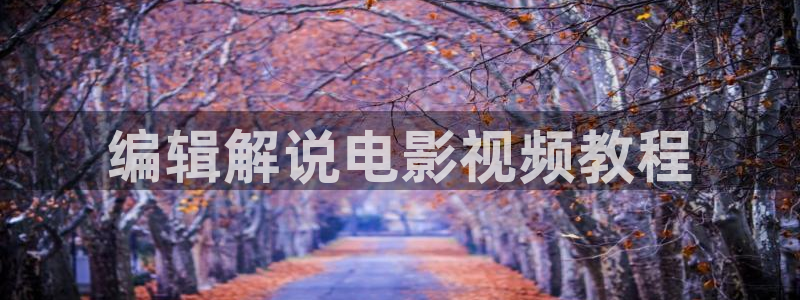 秋霞理伦最新电影网