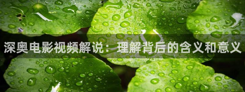 秋霞影院电视剧在线观看全集免费
