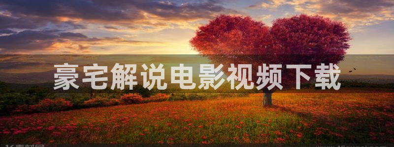 秋霞视频在线观看视频