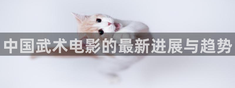 理论电影秋霞