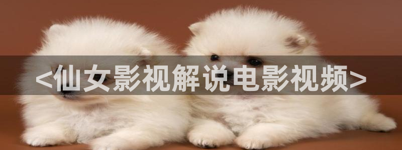 717秋霞电影网