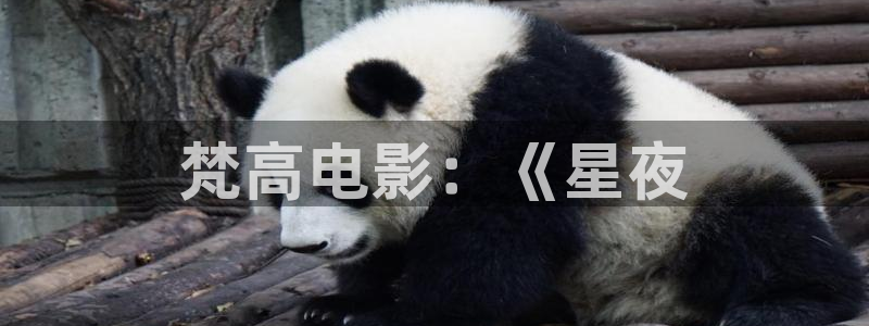 秋霞鲁丝片大全