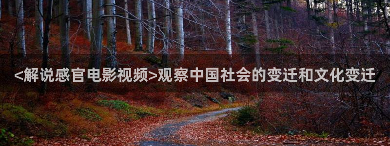 秋霞高清影院手机版