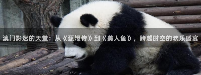 秋霞黄色片