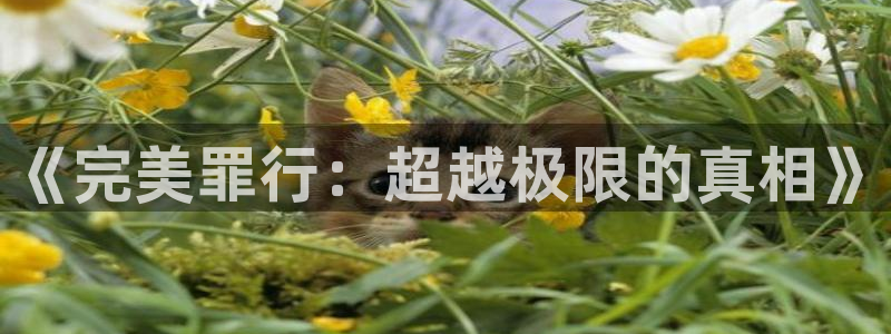 五月香秋霞网