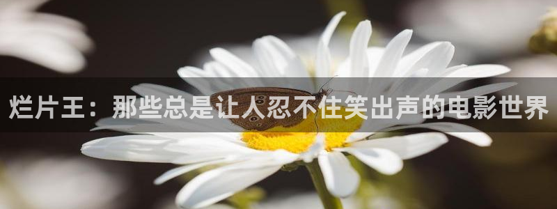 秋霞秋霞：烂片王：那些总是让人忍不住笑出声的电影世界