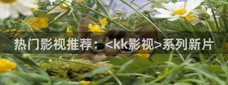 秋霞影院717：热门影视推荐：<kk影视>系列新片