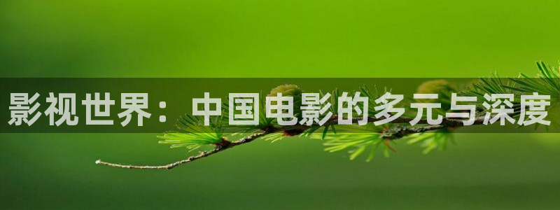 神马午夜秋霞电影