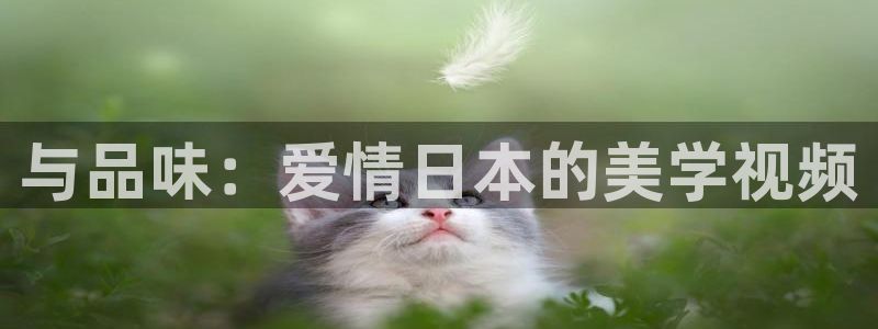 秋霞手伦电影