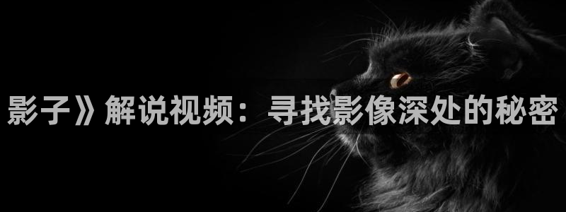 韩国三级电影秋霞：影子》解说视频：寻找影像深处的秘密