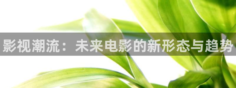 good电影网秋霞