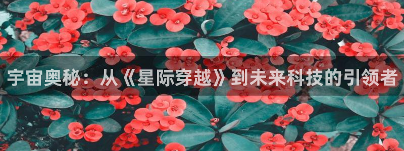 秋霞影院女儿的朋友