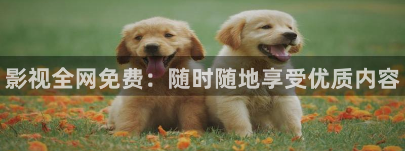 秋霞黄色网战：影视全网免费：随时随地享受优质内容